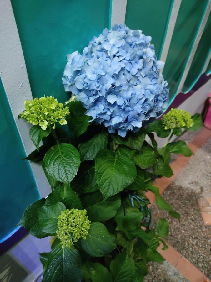 El Patio De Mi Casa Restaurante